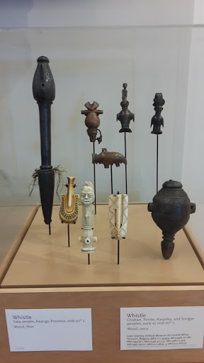 Cafe «Café Allegro», reviews and photos, 4725 E Mayo Blvd, Phoenix, AZ 85050, USA