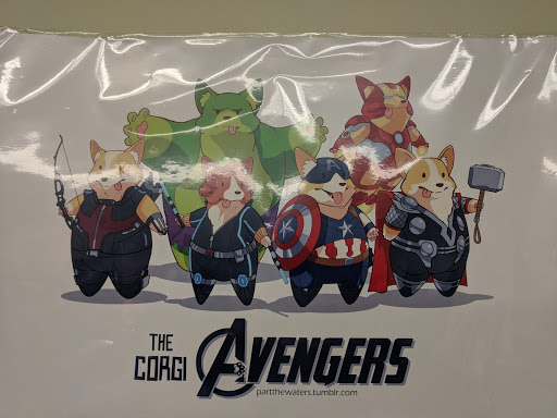 Pet Store «Four Dogs Pet Supplies», reviews and photos, 2630 N Davidson St, Charlotte, NC 28205, USA