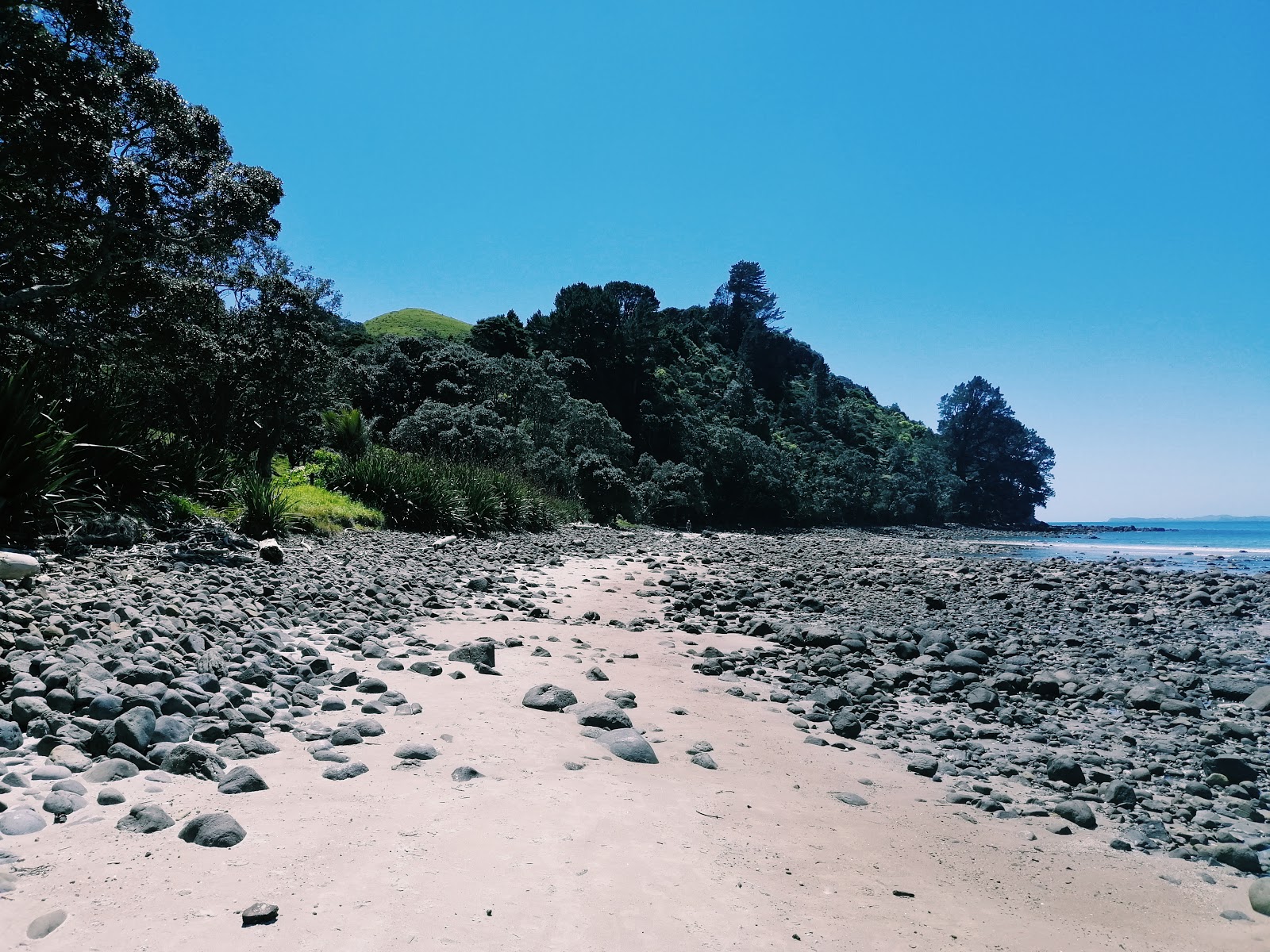 New Chums Beach'in fotoğrafı - rahatlamayı sevenler arasında popüler bir yer