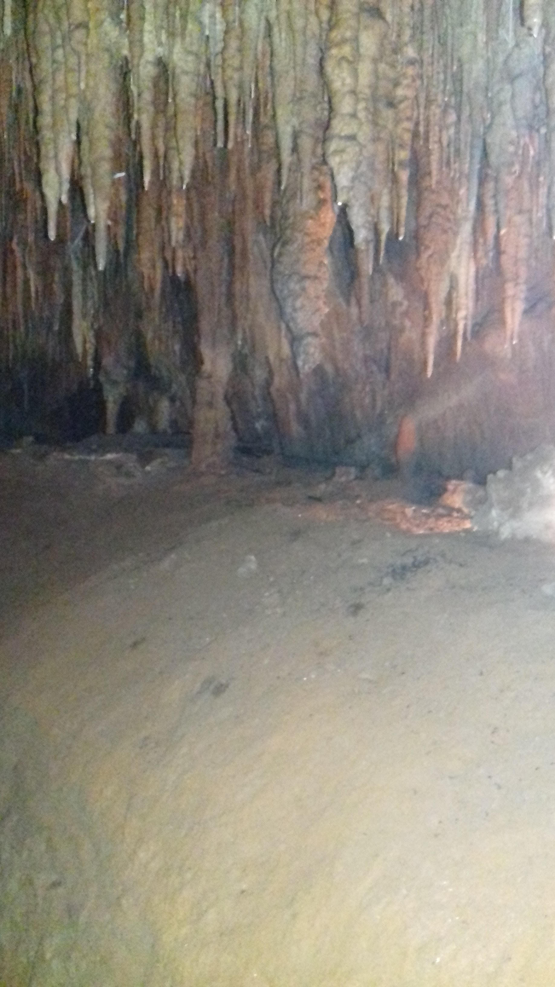 Photo n° 1 de l'avis de Frederic.a fait le 13/07/2019 à 16:32