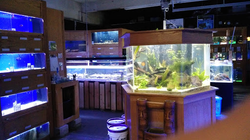 Reptile Store «Sierra Aquatics», reviews and photos, 295 Kietzke Ln, Reno, NV 89502, USA