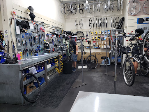 Bicycle Store «Orange Cycle», reviews and photos, 2204 Edgewater Dr, Orlando, FL 32804, USA