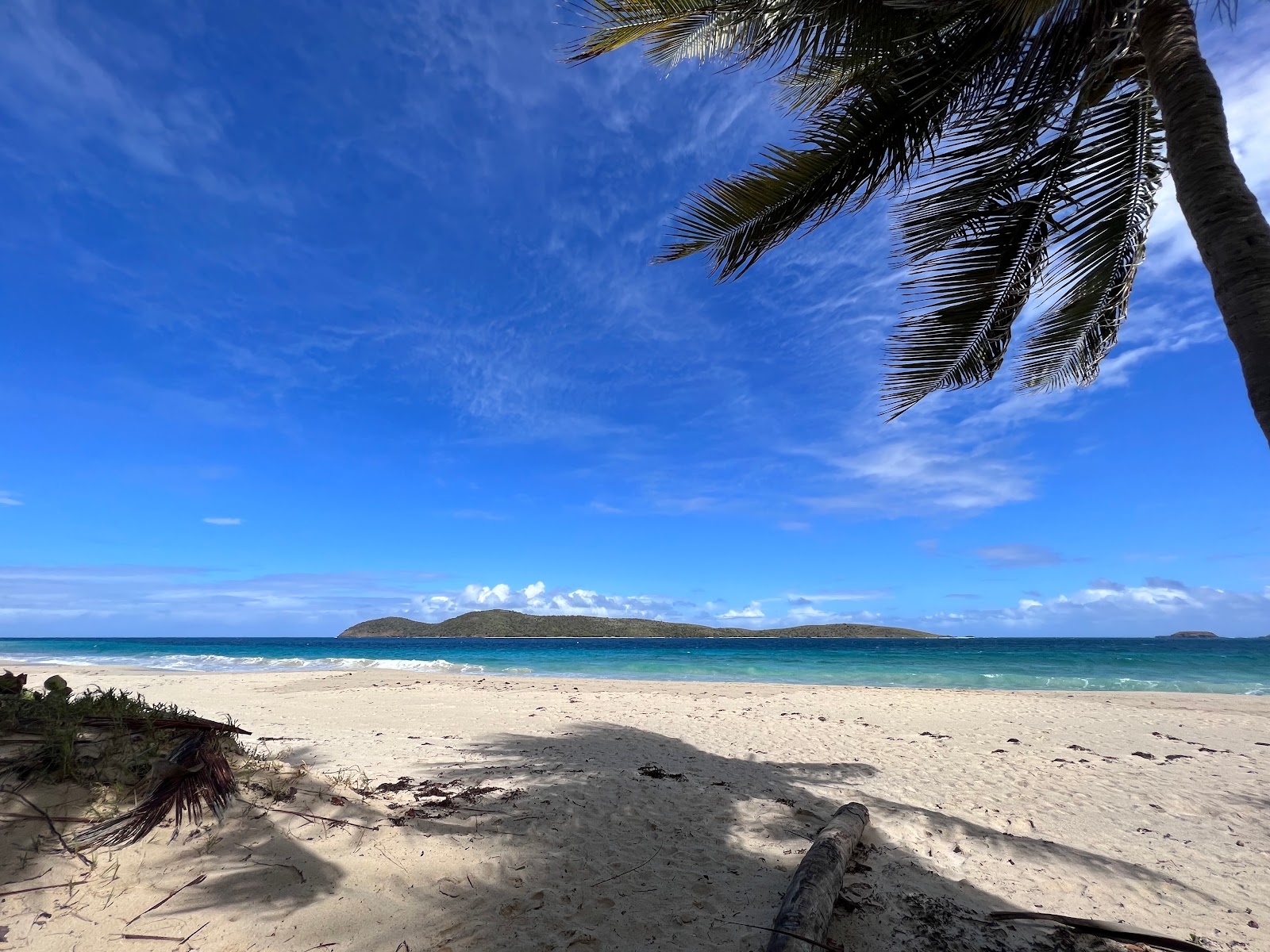 Photo de Zoni beach situé dans une zone naturelle