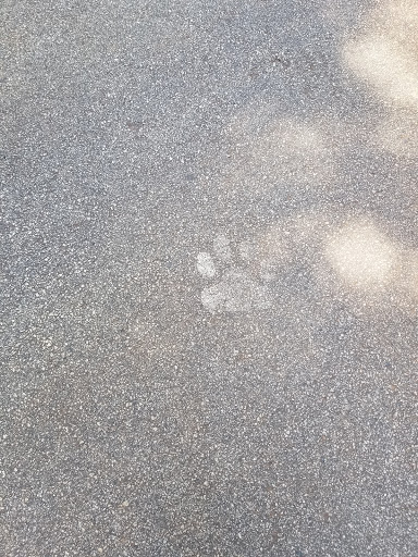 Park «Alexander Park», reviews and photos, 300 Atlanta St, McDonough, GA 30253, USA