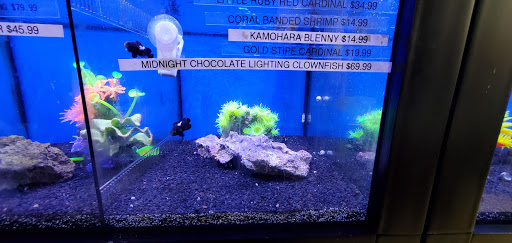 Tropical Fish Store «Delta Pet Center LLC», reviews and photos, 1370 Corporate Square Blvd, Slidell, LA 70458, USA