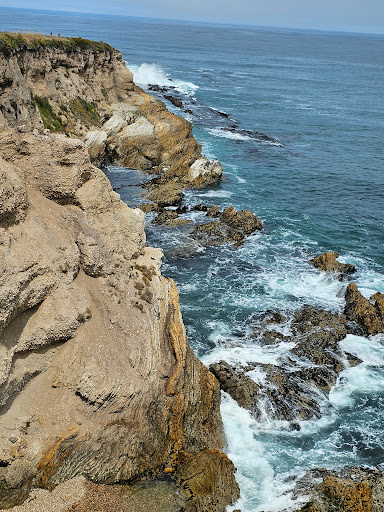 Bluff Trail