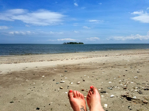 State Park «Silver Sands State Park», reviews and photos, 1 Silver Sands Park Way, Milford, CT 06460, USA