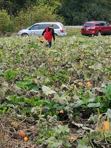 Park «Luverne City Park», reviews and photos