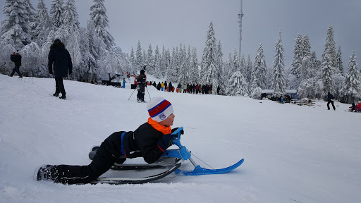 Tryvann Skiing Academy