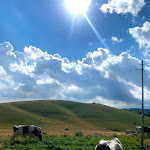 Photo n°1 de l'avis de Silvia.a fait le 01/09/2020 à 09:31 sur le  Parparo Vecchio à Roverè Veronese