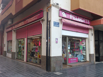 Peludets - Servicios para mascota en Valencia