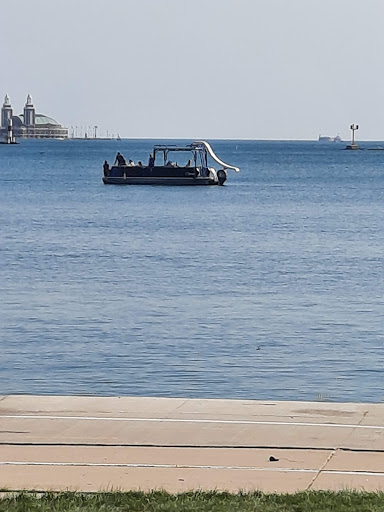 Museum «The Field Museum», reviews and photos, 1400 S Lake Shore Dr, Chicago, IL 60605, USA