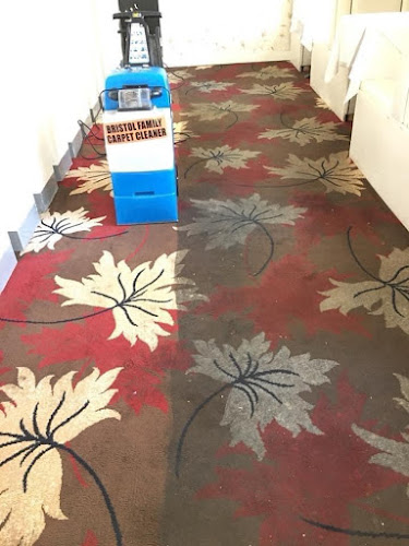 Bristol family carpet cleaner - Bristol