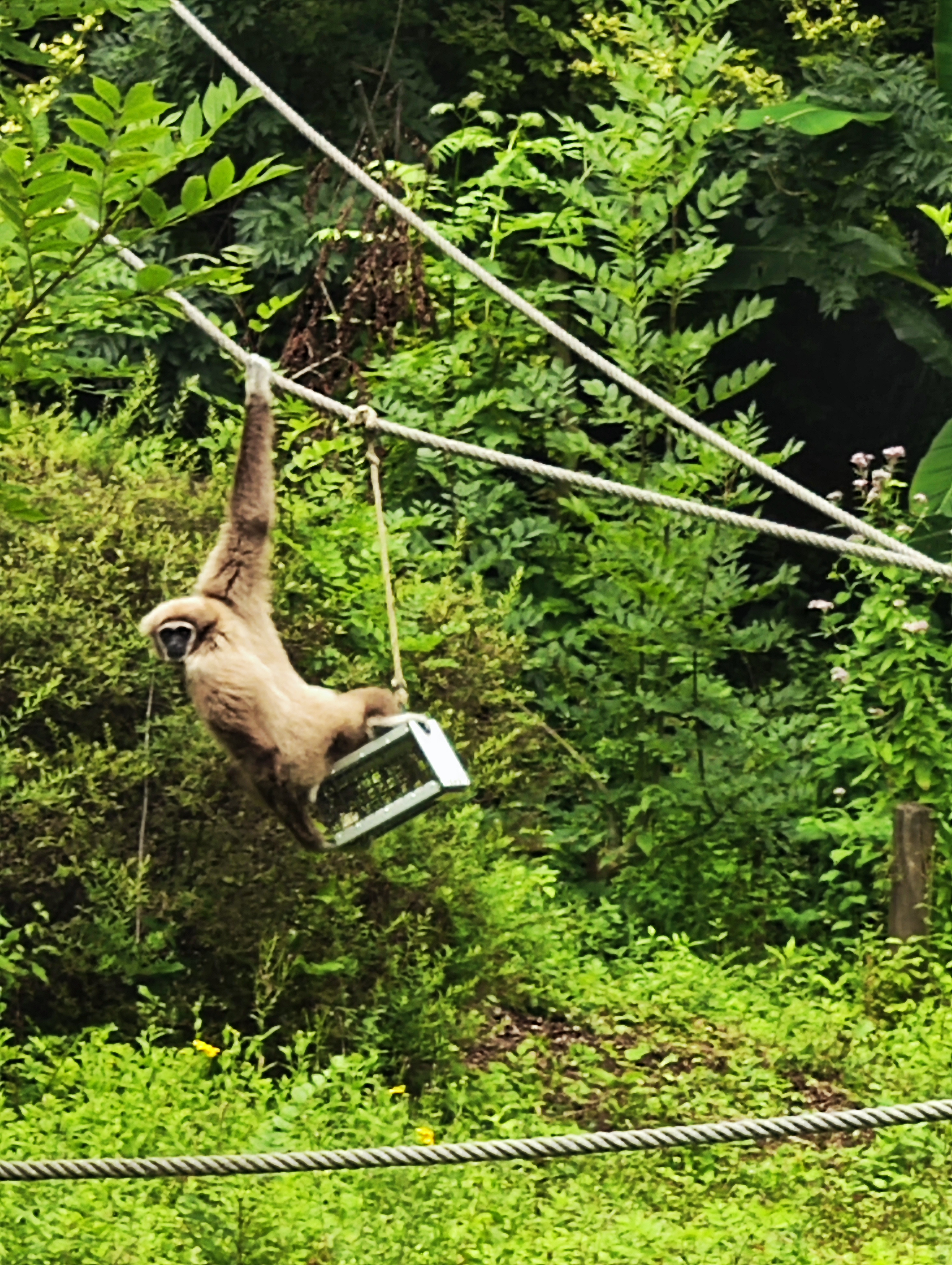 Photo n° 5 de l'avis de Aurelie.o fait le 03/08/2023 à 21:29