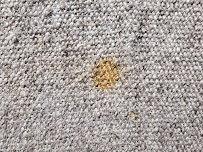 Oriental & Persian Rug Cleaning Repair Darmany - Photo 5 - Car repair in West Hollywood, CA, Los Angeles