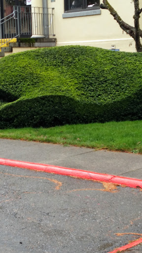 Private Golf Course «American Lake Veterans Golf Course», reviews and photos, 9600 Veterans Dr SW, Tacoma, WA 98493, USA