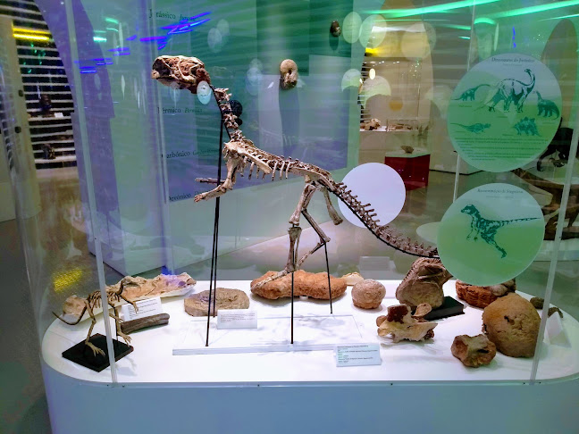 Museu de História Natural de Sintra - Sintra