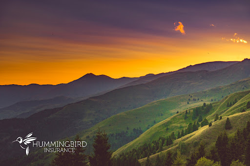 Insurance Agency «Hummingbird Insurance ♡», reviews and photos