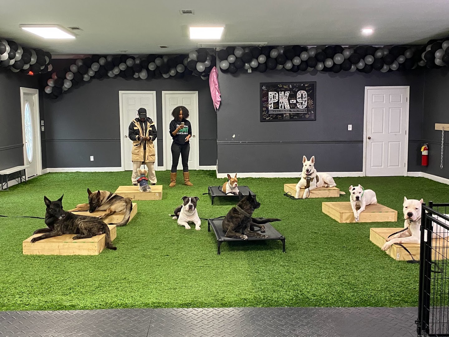 PK9 Dog Training Facility!