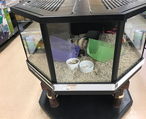 Pet Supply Store «Petco Animal Supplies», reviews and photos, 197 E Dekalb Pike #350, King of Prussia, PA 19406, USA