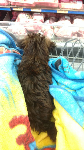 Department Store «Walmart Supercenter», reviews and photos, 6819 Walton Ln, Gloucester Courthouse, VA 23061, USA