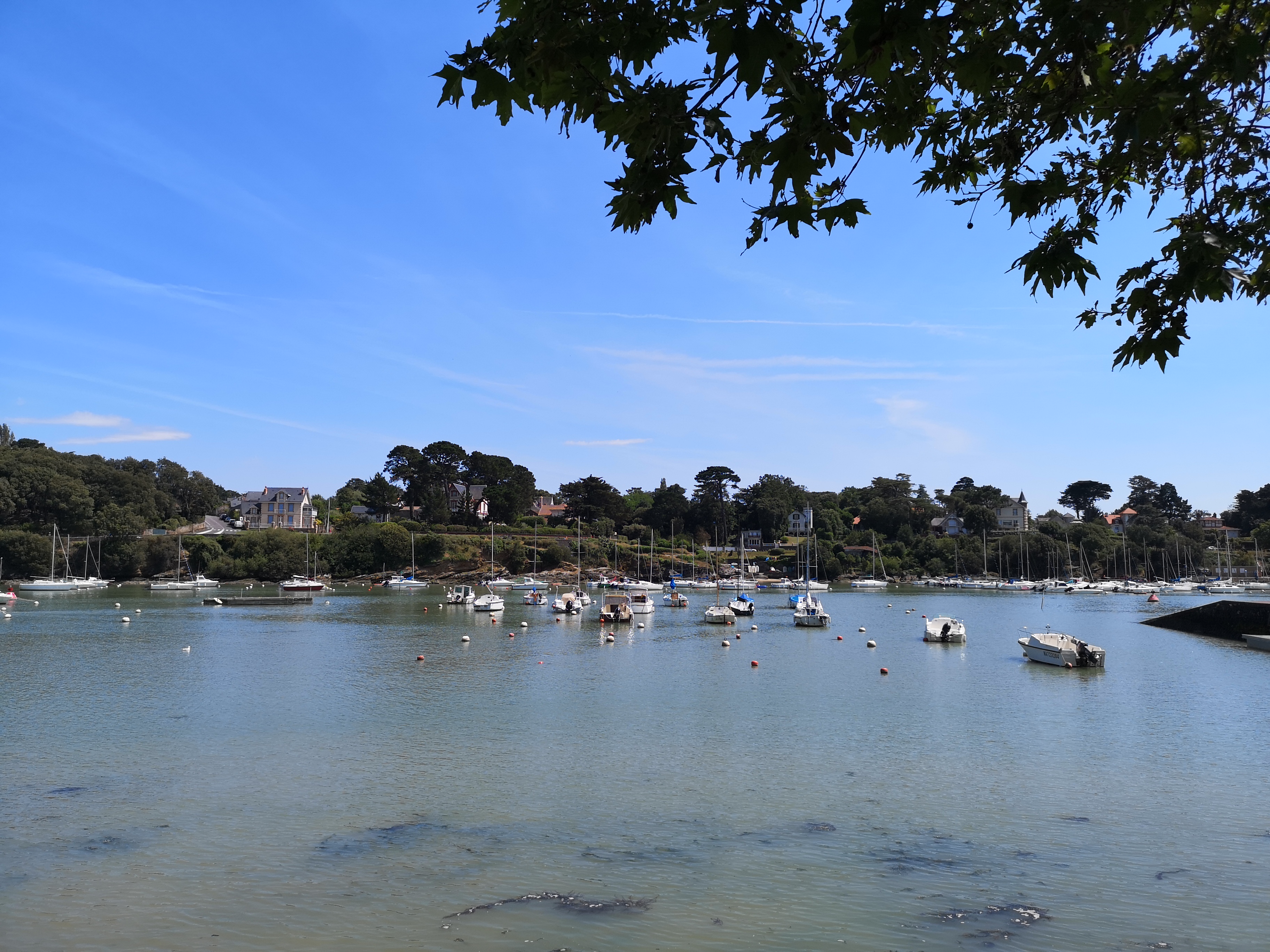 Photo n° 3 de l'avis de Constance.r fait le 17/06/2019 à 18:59