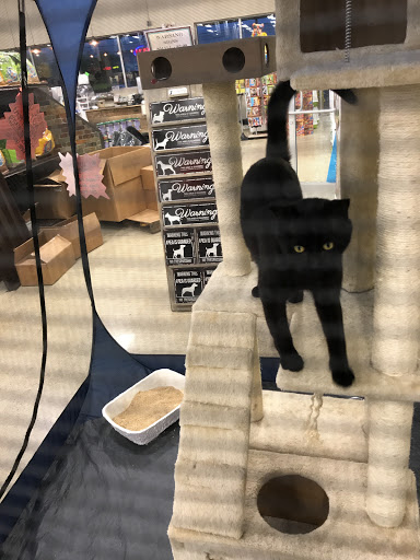 Pet Supply Store «Premier Pet Supply», reviews and photos, 15399 Merriman Rd, Livonia, MI 48154, USA