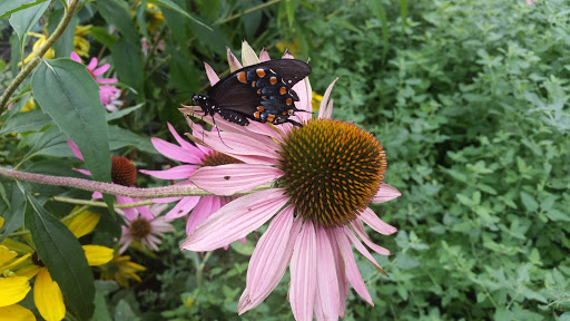 Gift Shop «Minnesota Zoo Gift Shop», reviews and photos, 13000 Zoo Blvd, Apple Valley, MN 55124, USA