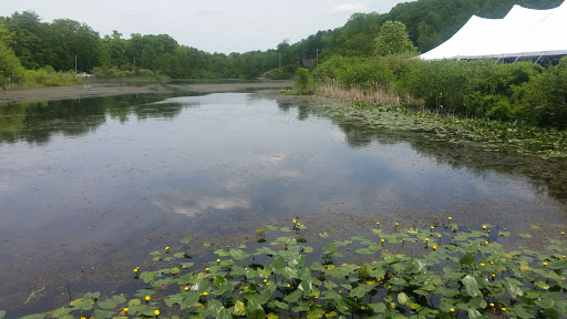 Ski Resort «Shawnee Mountain Ski Area», reviews and photos, 401 Hollow Rd, East Stroudsburg, PA 18301, USA