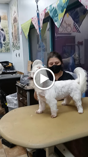 Pet Supply Store «PetSmart», reviews and photos, 3351 Jefferson Davis Hwy, Alexandria, VA 22305, USA