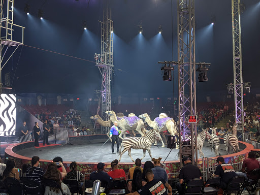 Park «Miramar Regional Park», reviews and photos, 16801 Miramar Pkwy, Miramar, FL 33027, USA