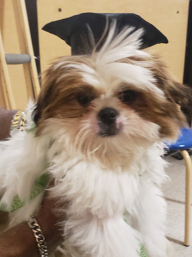 Pet Supply Store «PetSmart», reviews and photos, 139 Radio Dr, Stroudsburg, PA 18360, USA