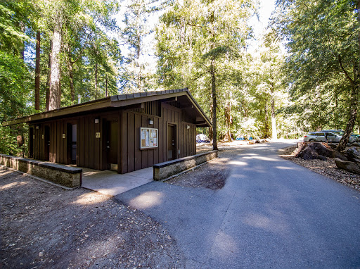 Sequoia Group Camp