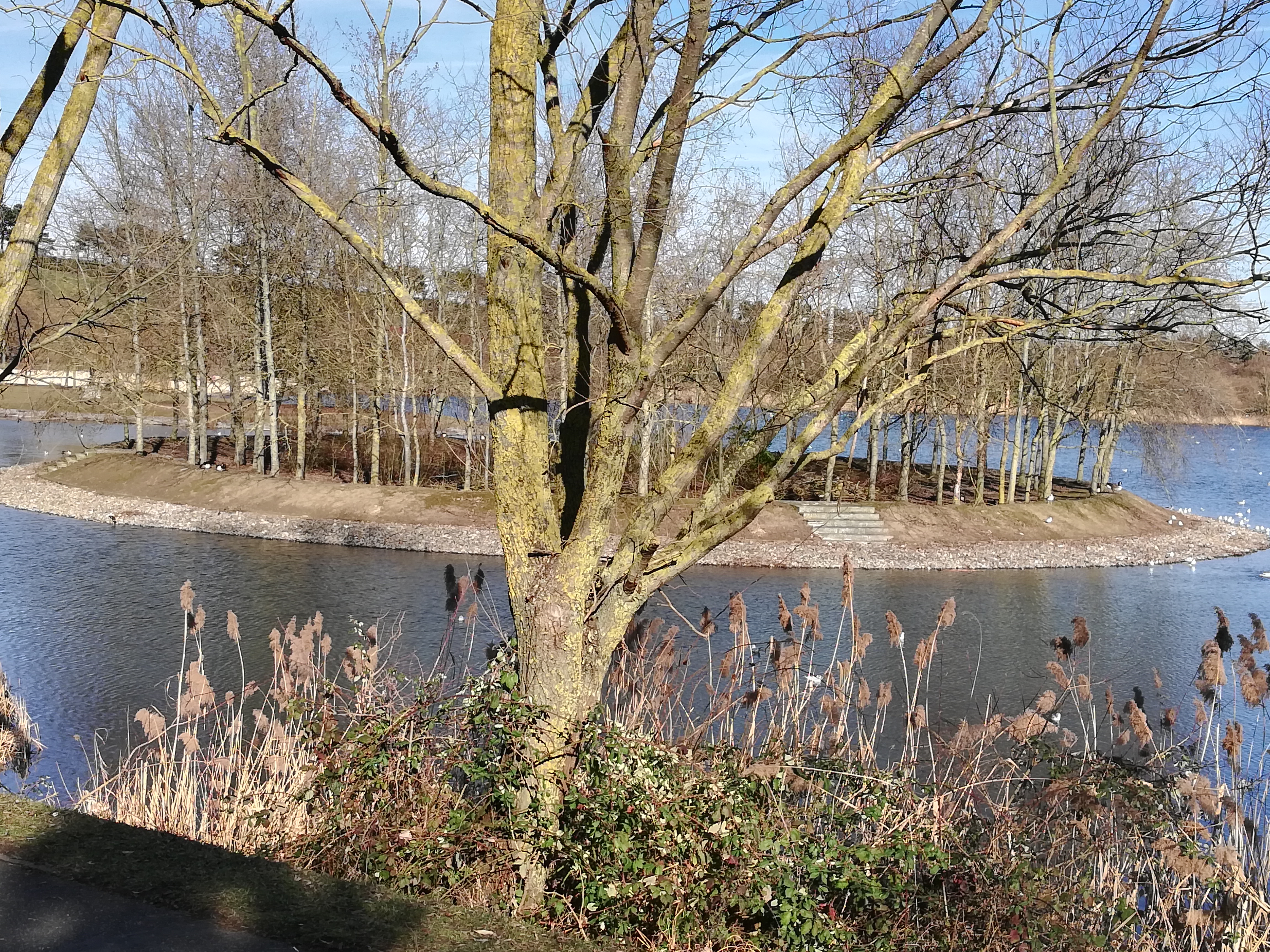 Photo n° 2 de l'avis de Jean-Michel.l fait le 19/02/2019 à 03:04