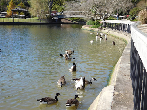 Park «Pullen Park», reviews and photos, 408 Ashe Ave, Raleigh, NC 27606, USA