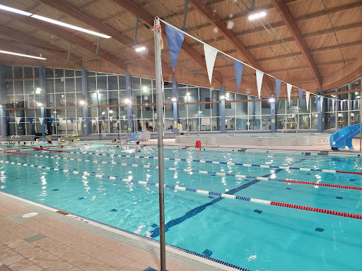 Swimming pool Mississauga