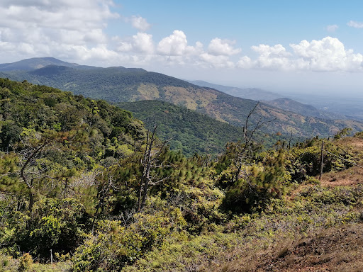 Mirador de Cerro Azul - Cerro Pelón