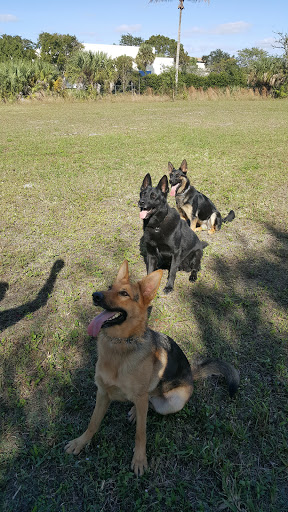 Pet Groomer «Purple Poodle Pet Center», reviews and photos, 3000 N University Dr, Coral Springs, FL 33065, USA