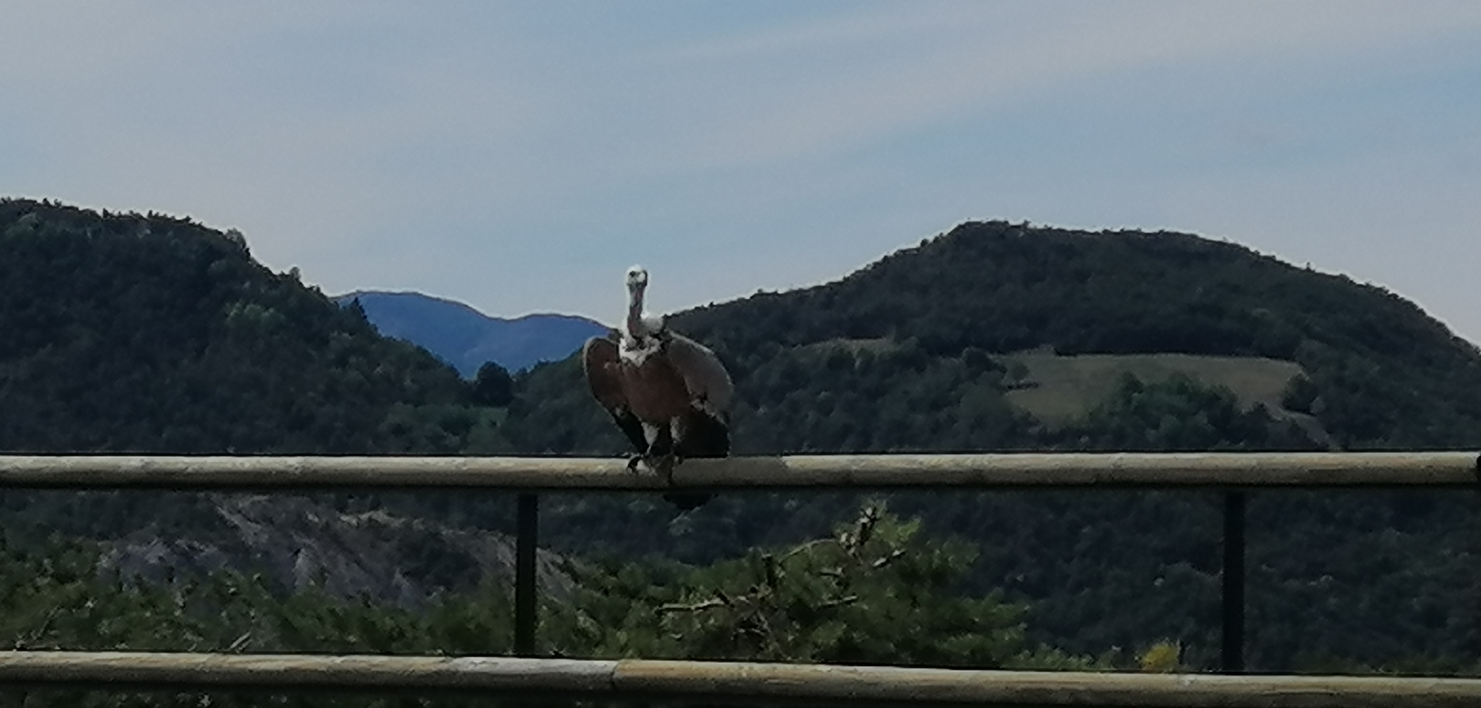 Photo n° 5 de l'avis de Jean.i fait le 08/09/2022 à 17:10