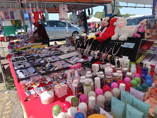 Flea Market «Montana Charlie’s», reviews and photos, 255 S Joliet Rd, Bolingbrook, IL 60440, USA