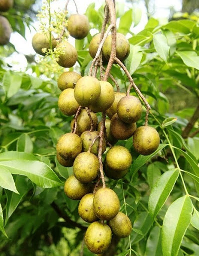 Grocery Store «Narin Market LLC», reviews and photos, 759 Potters Ave, Providence, RI 02907, USA