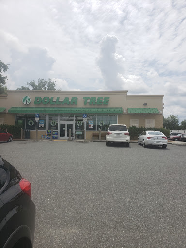 Dollar Store «Dollar Tree», reviews and photos, 3485 N Lecanto Hwy, Beverly Hills, FL 34465, USA