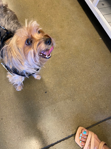 Pet Store «Choice Pet Market», reviews and photos, 4719 N 20th St A30, Phoenix, AZ 85016, USA