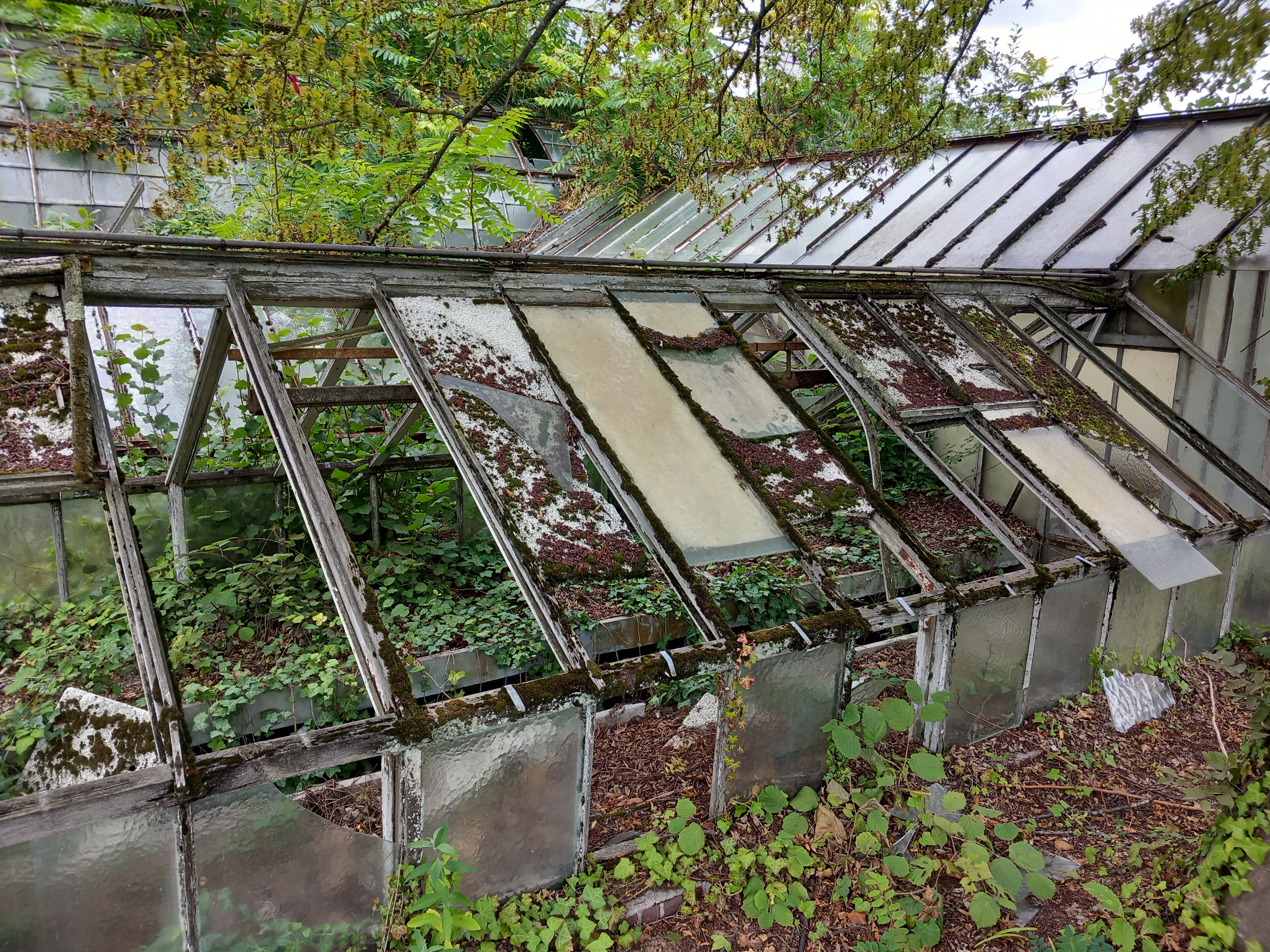 Photo n° 1 de l'avis de Julien.r fait le 13/08/2023 à 17:37