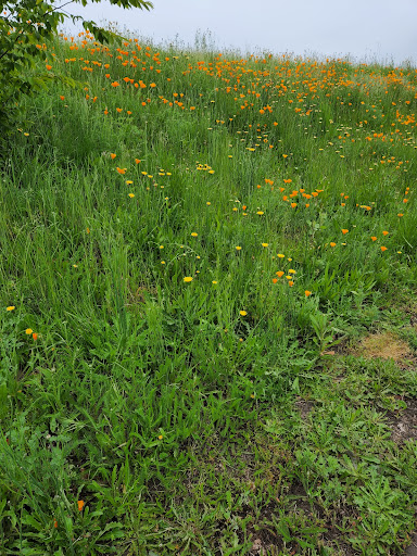 Golf Course «Colwood Golf Center», reviews and photos, 7313 NE Columbia Blvd, Portland, OR 97218, USA