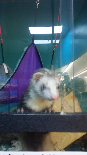 Pet Supply Store «Pet Supplies Plus», reviews and photos, 254 S Illinois Ave, Oak Ridge, TN 37830, USA