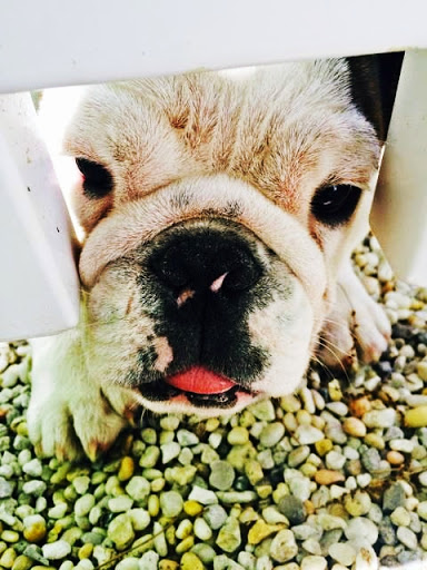 Campground «Sea Grove Camping Resort», reviews and photos, 2665 U.S. 9, Ocean View, NJ 08230, USA