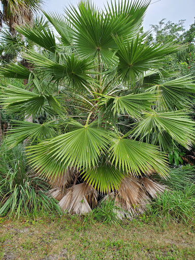 Recreation Center «Wa-Ke Hatchee Park Recreation Center», reviews and photos, 16760 Bass Rd, Fort Myers, FL 33908, USA