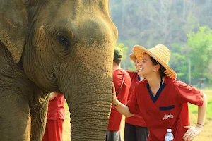 Ran-Tong Save & Rescue Elephant Centre image