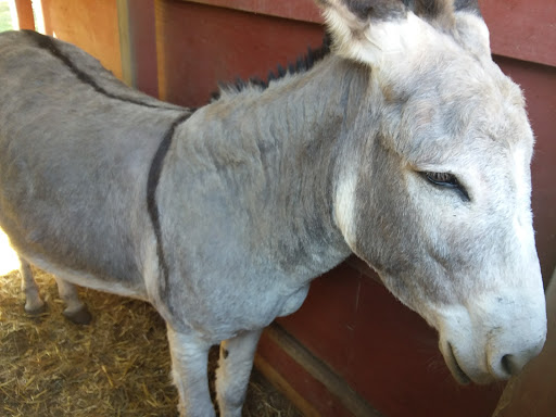 Amusement Park «Adventure Park At Grants Mill», reviews and photos, 5405 Beacon Dr, Irondale, AL 35210, USA